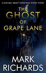 The Ghost of Grape Lane : A Detective Michael Brady Crime Thriller 