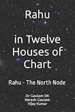 Rahu The North Node: Rahu in Twelve Houses of Chart 