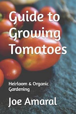 Guide to Growing Tomatoes : Heirloom & Organic Gardening