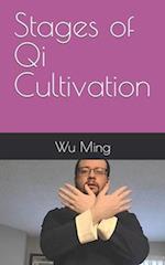 Stages of Qi Cultivation 