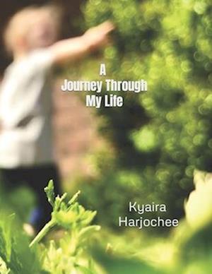 A Journey Through My Life: Poetry from Throughout the Years