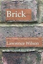 Brick: Poems from the First Year of a Pandemic 