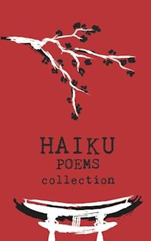 Haiku Poems Collection: A collection of 240 Haiku style short poems