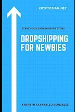 Dropshipping For Newbies 