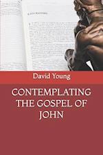 CONTEMPLATING THE GOSPEL OF JOHN 