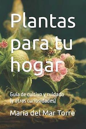 Plantas para tu hogar