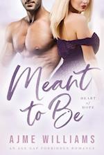 Meant to Be: An Age Gap Forbidden Romance 