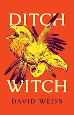 Ditch Witch 