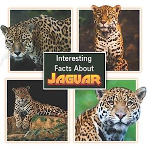 Interesting Facts About Jaguars: Children's Picture Book for Jaguars / Facts About Jaguars for Kids