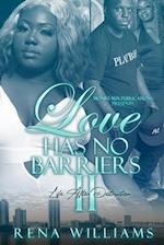 Love Has No Barriers 2: Life After Destruction 