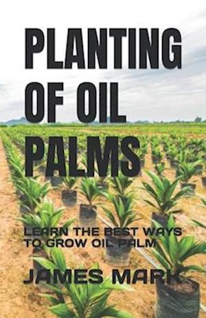 PLANTING OF OIL PALMS: LEARN THE BEST WAYS TO GROW OIL PALM