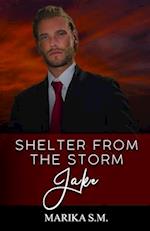 Shelter From The Storm - Jake