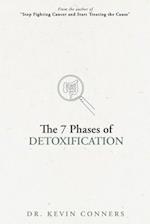 The 7 Phases of Detoxification: What You Must Know Before Your Next "Detox" 