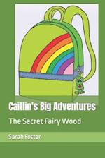 Caitlin's Big Adventures: The Secret Fairy Wood 