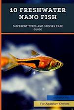 10 Freshwater Nano Fish: Different Types And Species Care Guide 