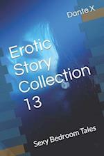 Erotic Story Collection 13: Sexy Bedroom Tales 