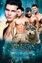 Fighting for the Omega: Gay MPREG Harem Romance 