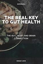 The Real Key To Gut Health: The Gut, Heart and Brain Connection 