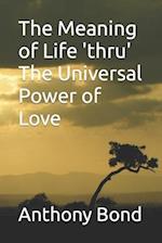 The Meaning of Life 'thru' The Universal Power of Love 