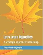 Let's Learn Opposites: A strategic approach to learning. 