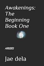 Awakenings: The Beginning Book One: Arise! 