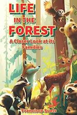 Life in the Forest: A Closer Look at its Families 