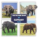 The Picture Book of Elephant Facts : A Fun and Informative Photos with Fun Facts Book for Kids 