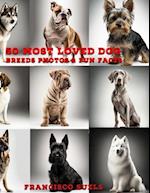50 Most Loved Dog Breeds: Photos & Fun Facts 