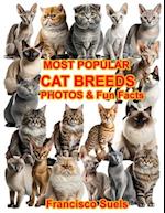 Most Popular Cat Breeds Photos Fun Facts 