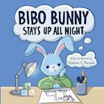 Bibo Bunny Stays Up All Night