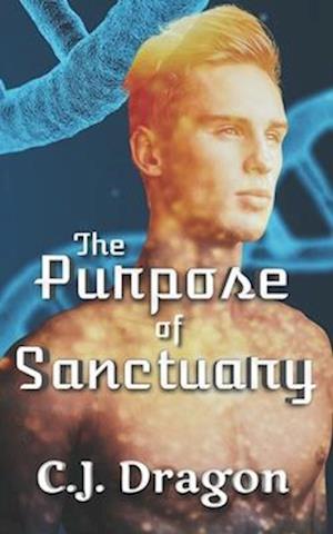 The Purpose of Sanctuary