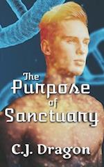 The Purpose of Sanctuary 