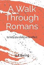 A Walk Through Romans: to help you observe & reflect 