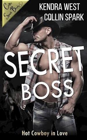 Secret Boss