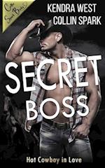Secret Boss