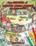 The Gnomes of Canyon Creek Forest: Coloring Book 