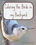 Coloring the Birds in my Backyard 
