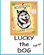 Lucky the Dog: Missing Pet 