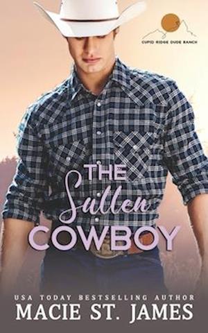 The Sullen Cowboy: An Enemies to Lovers Romance