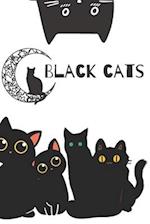 BLACK CATS, The story about misunderstood black cats.: BLACK CATS 