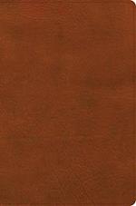 CSB Giant Print Reference Bible, Digital Study Edition, Burnt Sienna Leathertouch