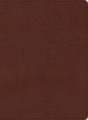 KJV Study Bible, Large Print Edition, Brown Bonded Leather