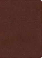 KJV Study Bible, Large Print Edition, Brown Bonded Leather