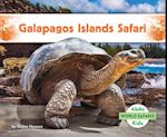 Galapagos Islands Safari