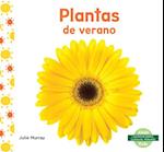 Plantas de Verano