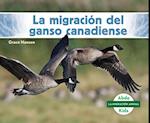 La Migración del Ganso Canadiense (Set)