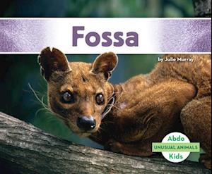 Fossa