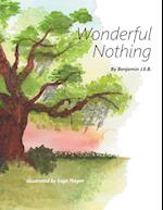 Wonderful Nothing 