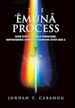 The Emuna Process