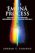 The Emuna Process